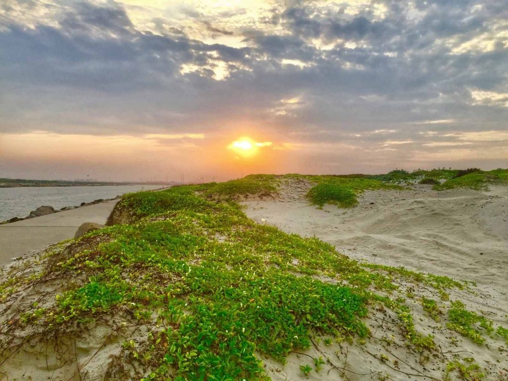 sand dunes at beach with sunset