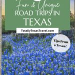 road trips in Texas pin