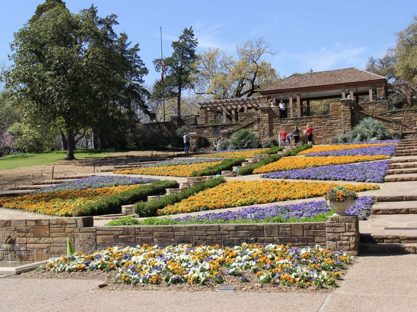flowers at the Fort Worth Botanical Gardens