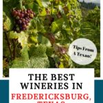 Fredericksburg Wineries Pinterest image