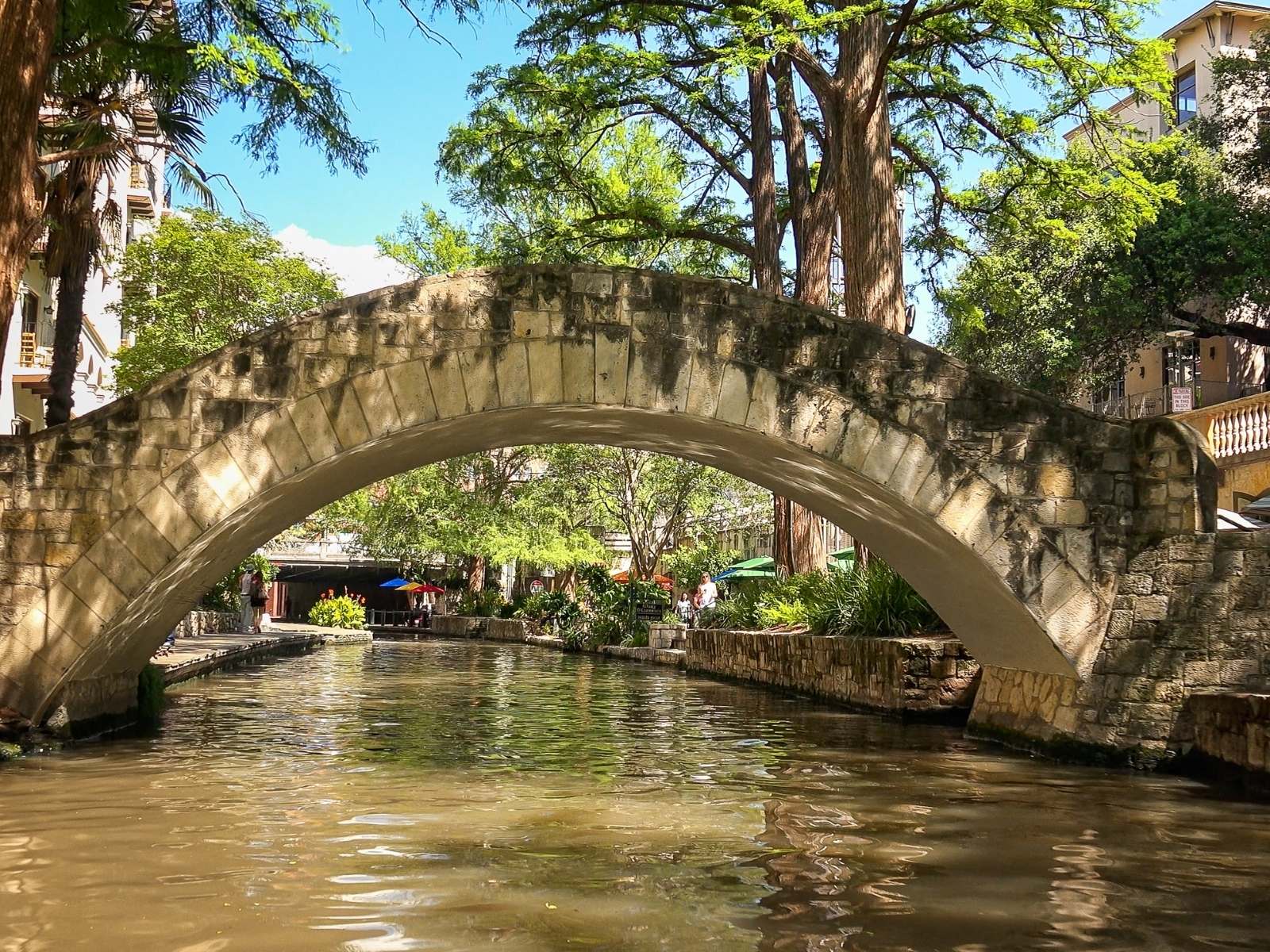 bridge over the river