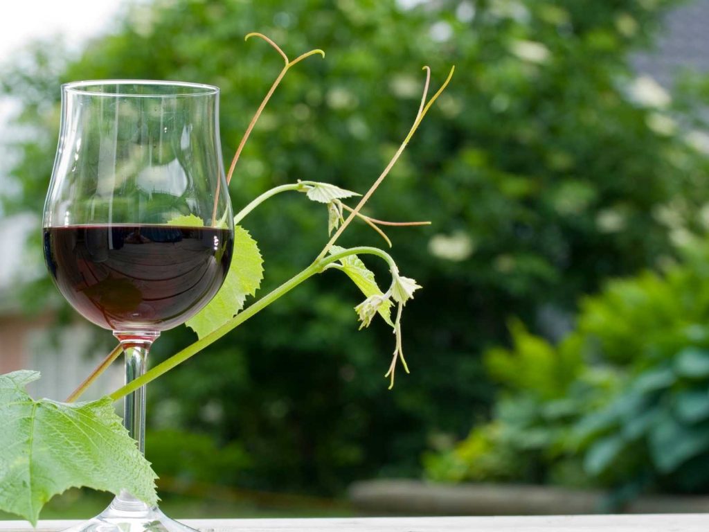wine glass