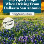 Driving from Dallas to San Antonio Pinterest Pin