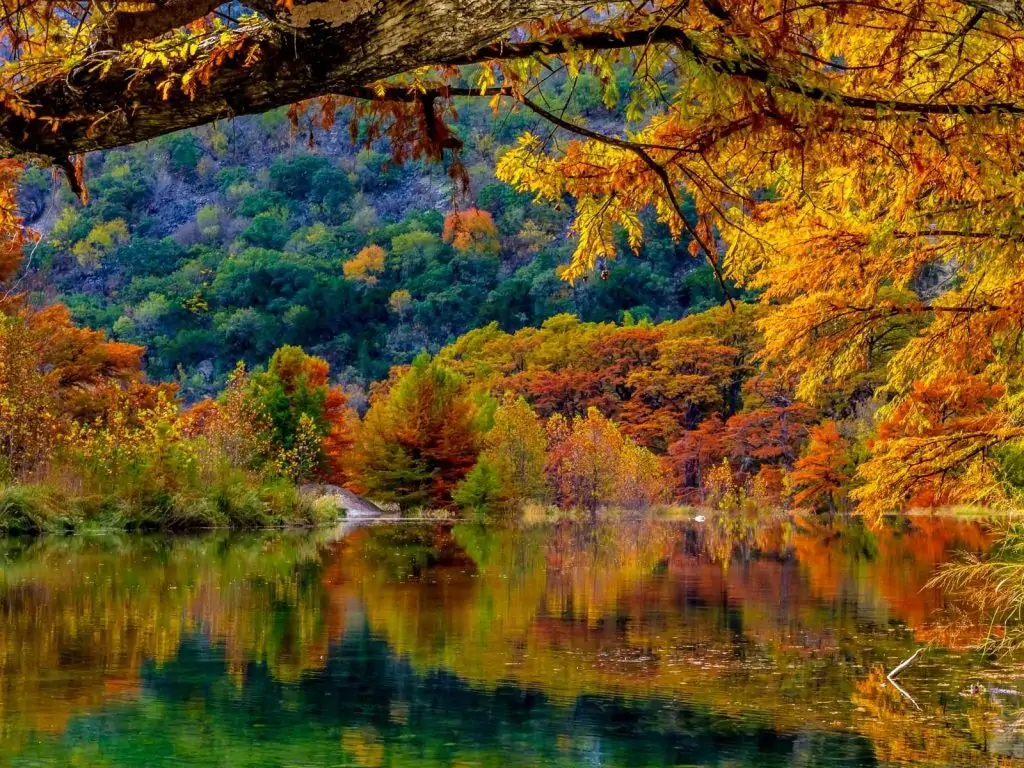 water reflecting fall trees