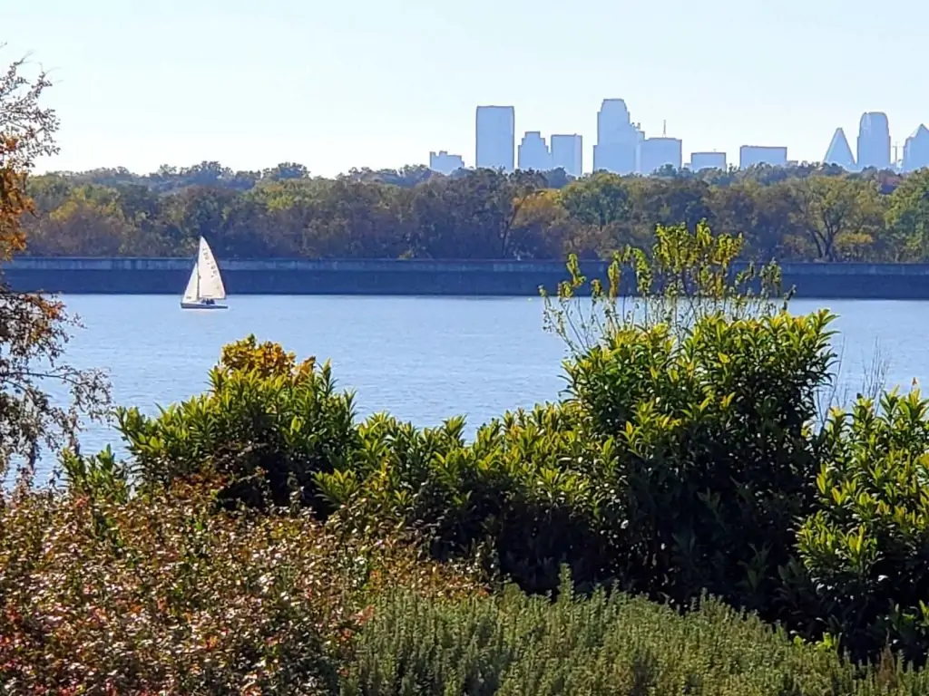 sailboat on White Rock Lake
