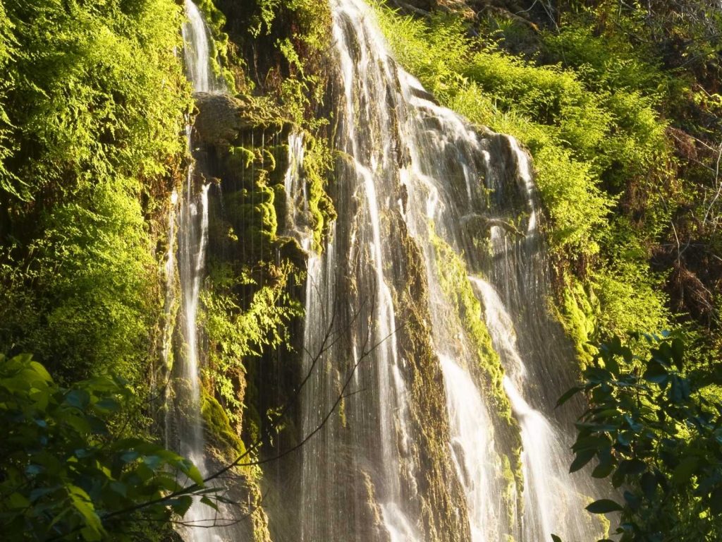 Gorman Falls in Texas
