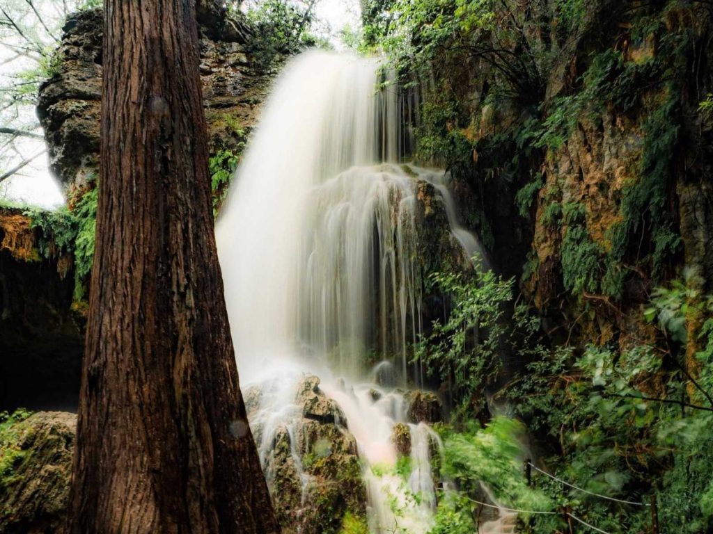 waterfalls in Texas-Westcave Preserve