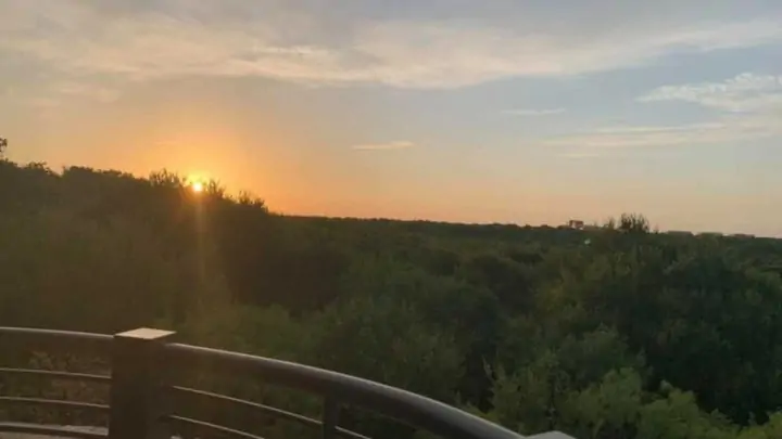 hiking in Dallas at Arbor Hills -lookout with sunrise