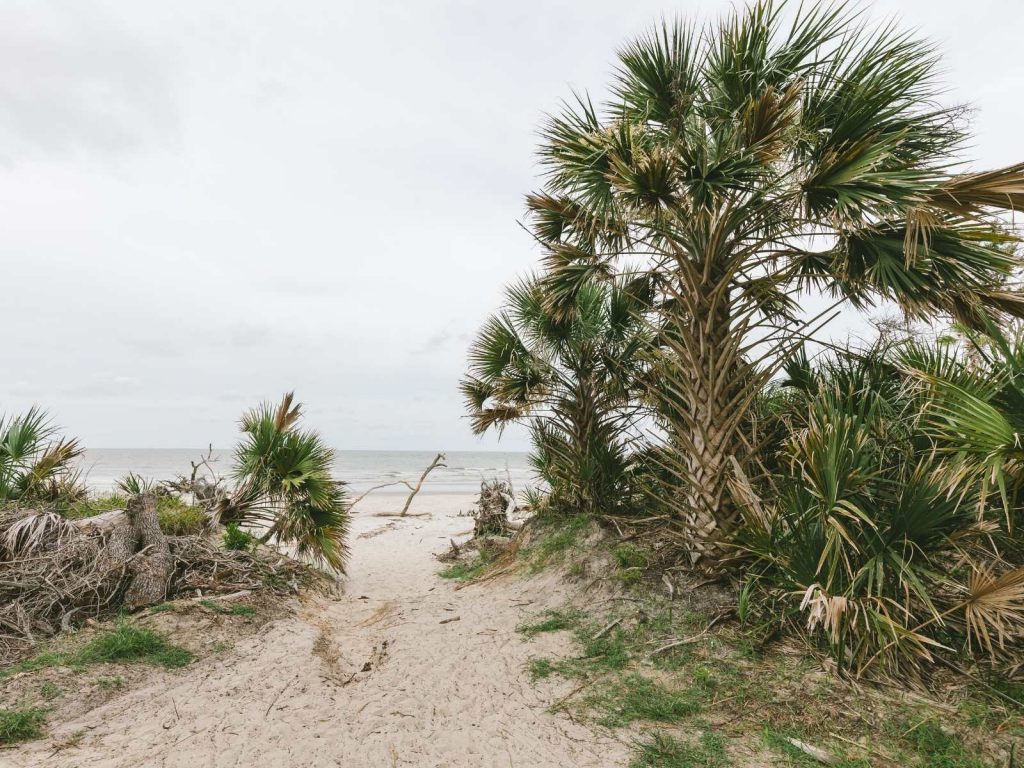 beach