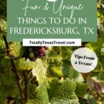 Fredericksburg, TX things to do