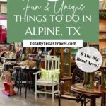 Alpine Texas Pin Image