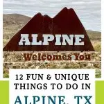 Alpine Texas Pin Image