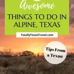 Alpine Texas Pin Image