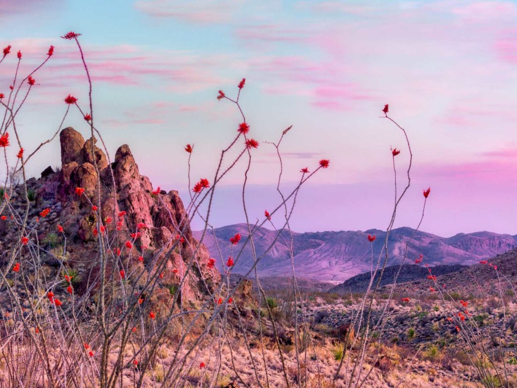 horizon view in Terlingua Texas