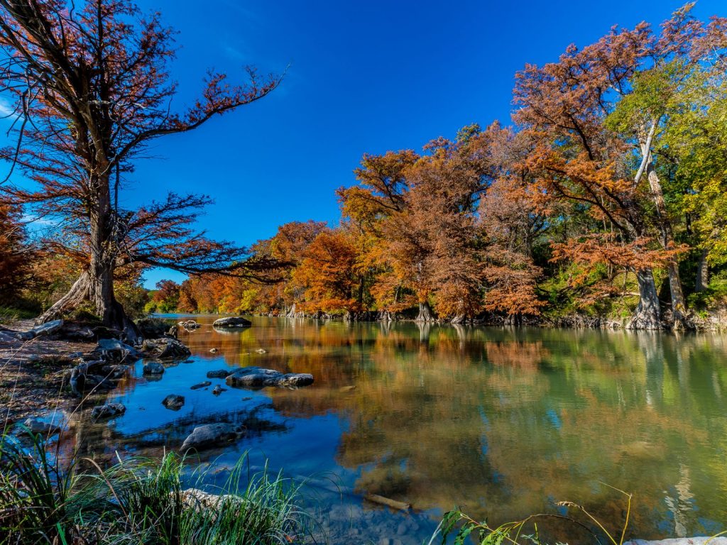 fall in Guadalupe River State Park