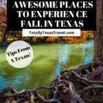 Places to experience fall in Texas Pin image