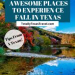 Fall in Texas Pin Image