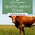 Quotes about Texas pin image