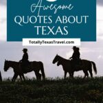 Texas quotes Pin Image