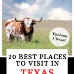 Places to visit in Texas Pinterest Pin