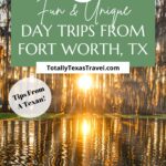 Fort Worth day trips Pin