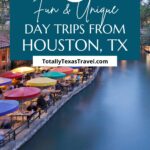 day trips from Houston Pin Image