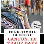 Canton Trade Days Pin Image